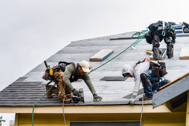 Professional Gutter Installation technician working in Leasburg, NC